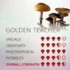 golden teacher mushroom