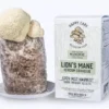 lion’s mane mushroom grow kit