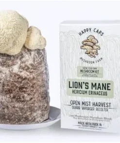 lion’s mane mushroom grow kit