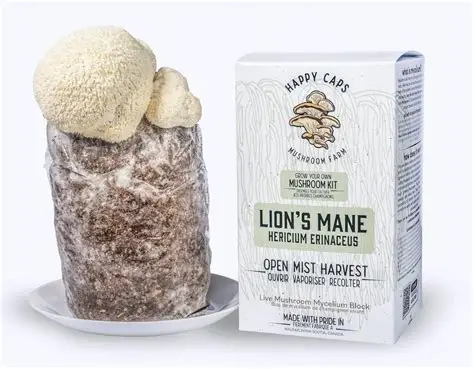 lion’s mane mushroom grow kit