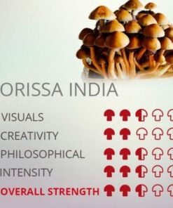 orissa india spores