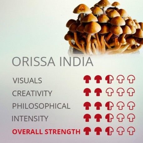 orissa india spores