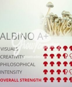 albino a+