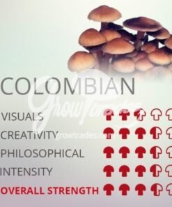 Colombian mushrooms