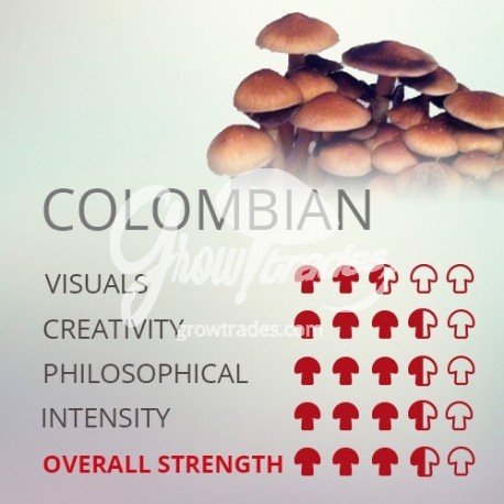 Colombian mushrooms