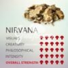 nirvana center Mushroom