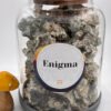 Enigma Magic Mushrooms