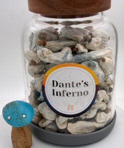 Dante’s Inferno Magic Mushrooms