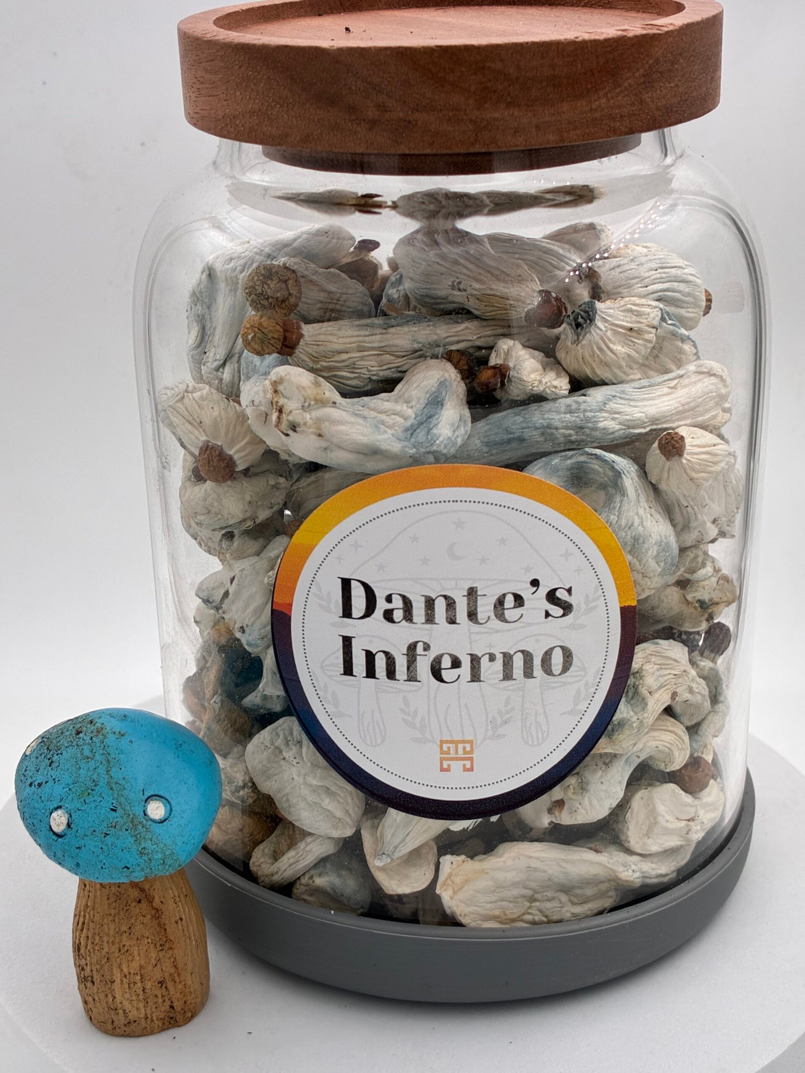 Dante’s Inferno Magic Mushrooms