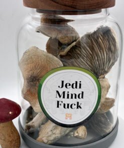 Jedi Mind Fuck Magic Mushrooms