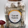Lucid Gates Magic Mushrooms