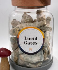 Lucid Gates Magic Mushrooms