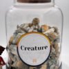 Creature Magic Mushrooms