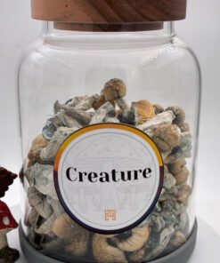 Creature Magic Mushrooms