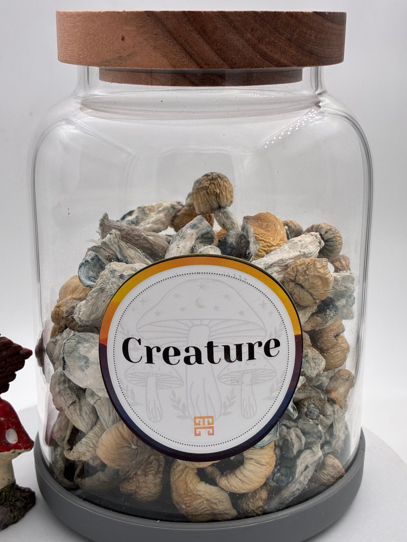 Creature Magic Mushrooms