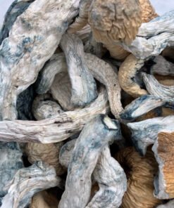 Creature Magic Mushrooms